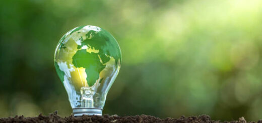 Successful GreenTech Industries Driving Global Impact