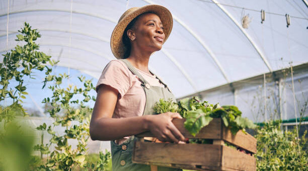 Exploring Agribusiness Concepts, Benefits and Opportunities