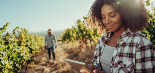 Sustainability in Agribusiness